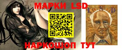индика Малгобек