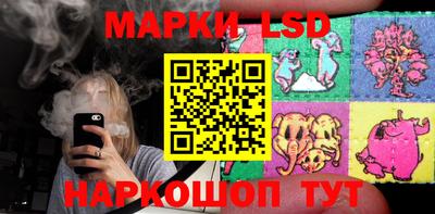индика Малгобек