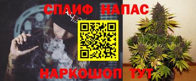 прущие грибы Мариинск