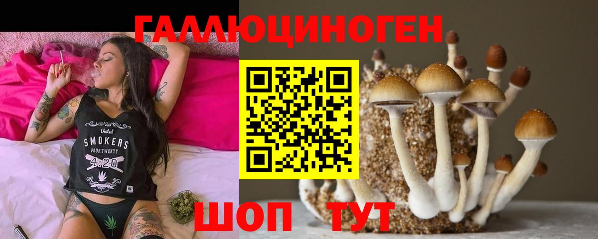 где купить наркоту  Вход с VPN  Волжский  Псилоцибиновые грибы Magic Shrooms  Псилоцибиновые грибы мухоморы 
