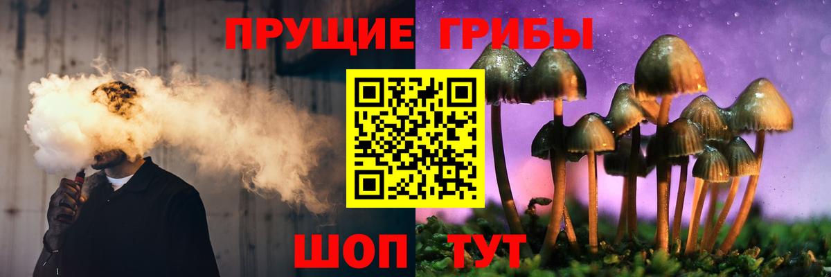Галлюциногенные грибы Psilocybe Волжский