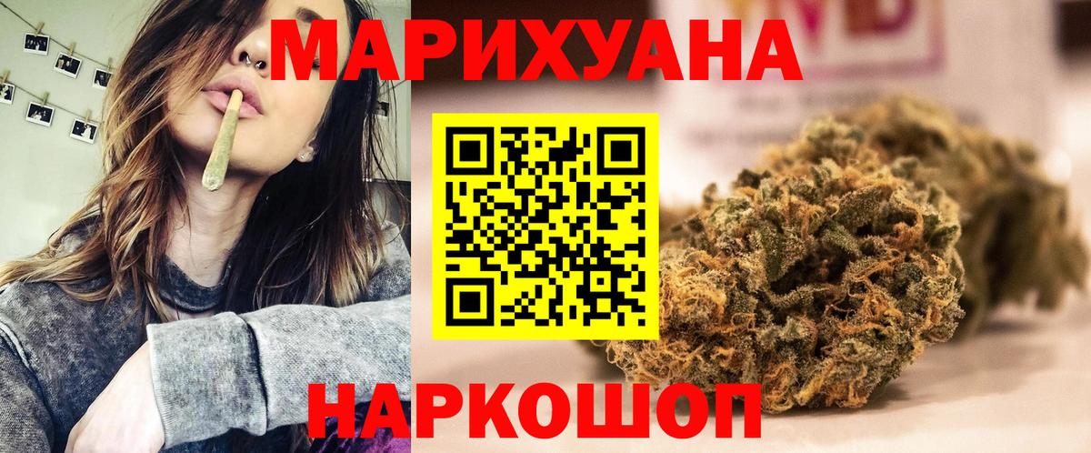 Каннабис индика Волжский